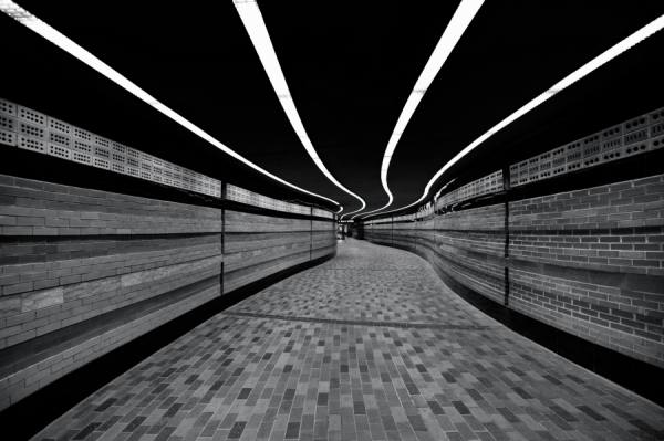 Photograph Roland Shainidze The Symphony Of Lines on One Eyeland